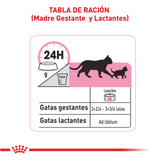 FHN KITTEN LOAF LATA - TABLA DE RACION MADRE